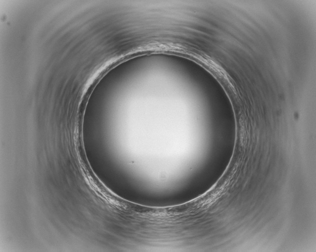 X0000059060896200510101045