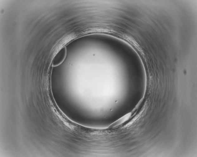 X0000059060898200510101045