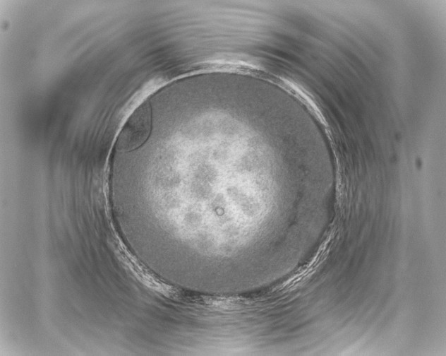 X0000059060899200510101045