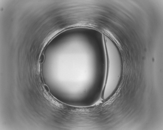 X0000059060900200510101045