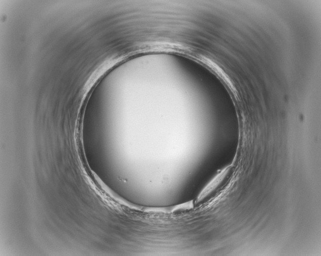 X0000059060901200510101045