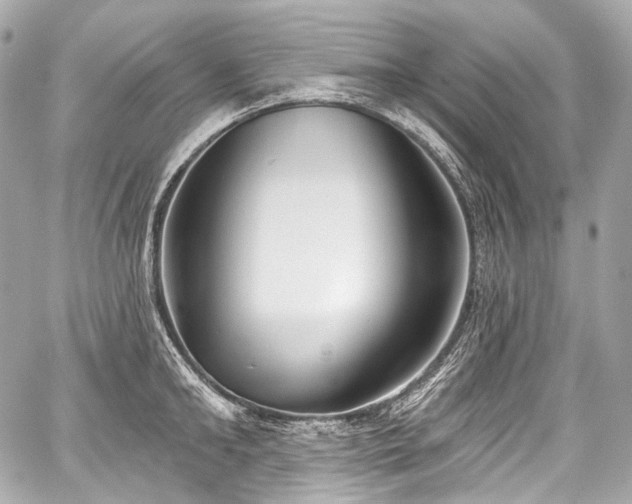 X0000059060902200510101045