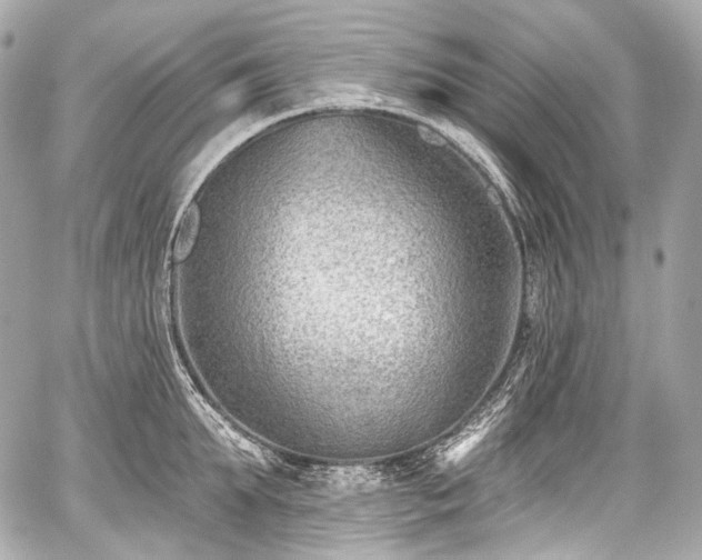 X0000059060903200510101045