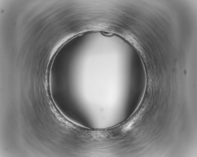 X0000059060904200510101045