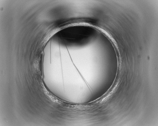 X0000059060905200510101045