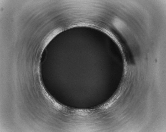 X0000059060906200510101045