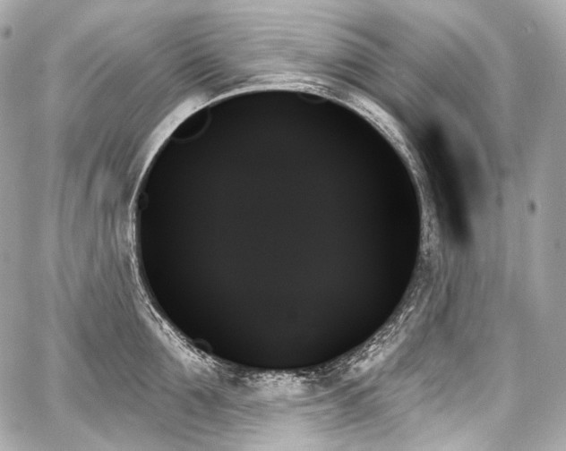 X0000059060907200510101045