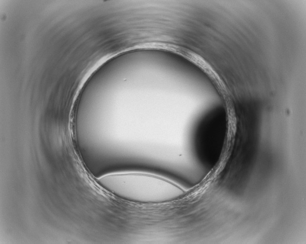 X0000059060908200510101045