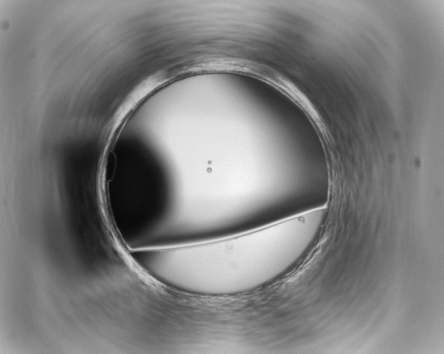 X0000059060909200510101045