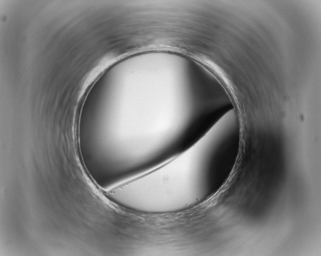 X0000059060910200510101045