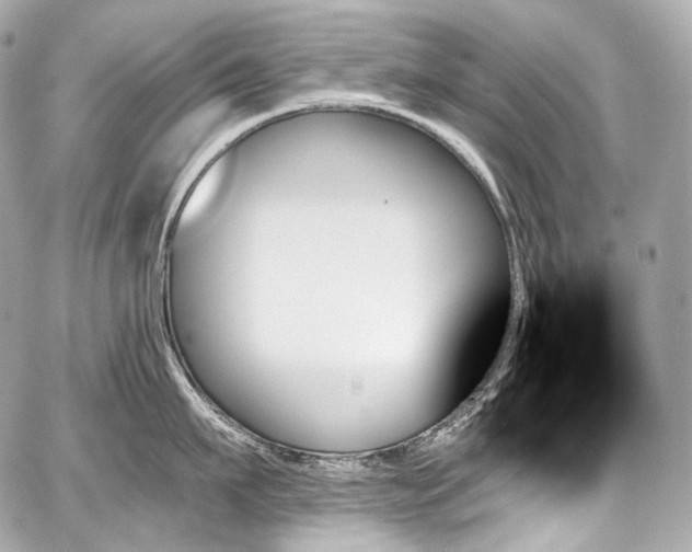 X0000059060911200510101045