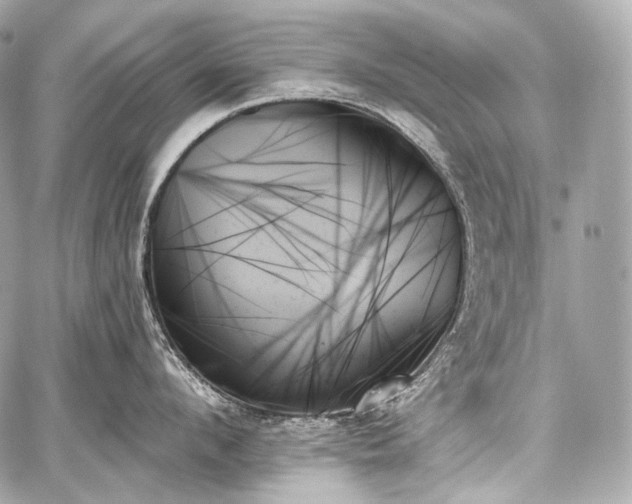 X0000059060912200510101045