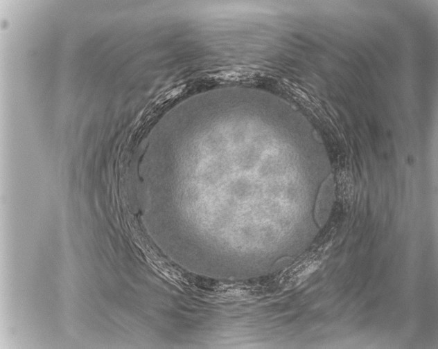 X0000059060913200510101044