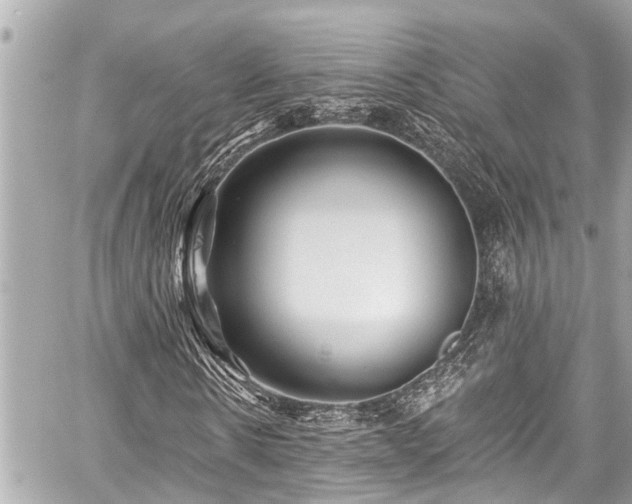 X0000059060914200510101044