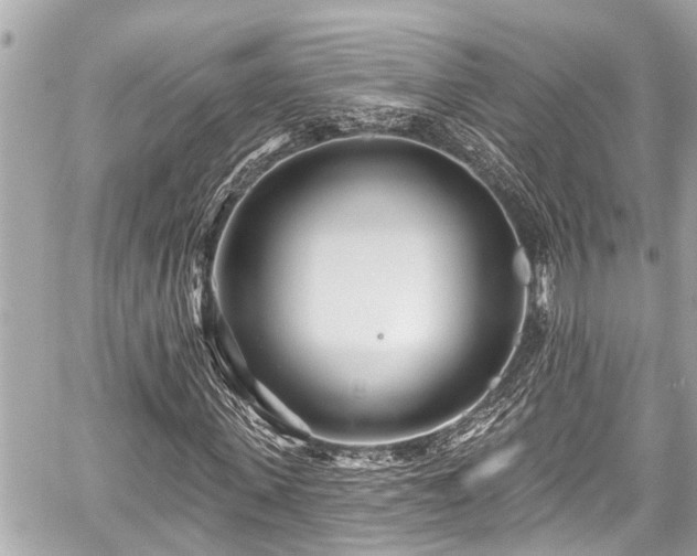 X0000059060915200510101044