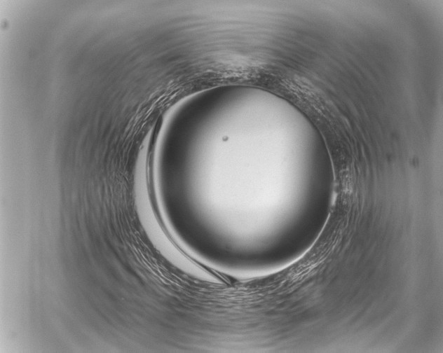 X0000059060916200510101044