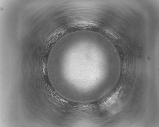 X0000059060917200510101044