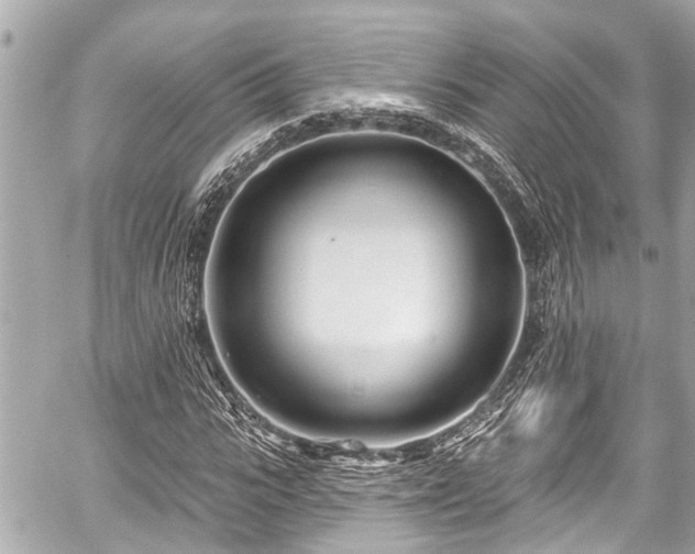 X0000059060919200510101044