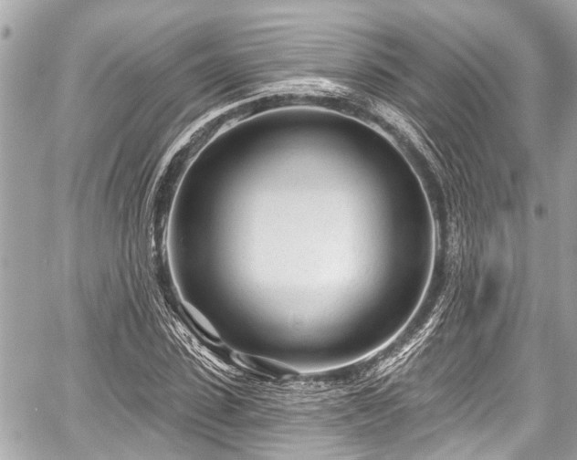 X0000059060923200510101044