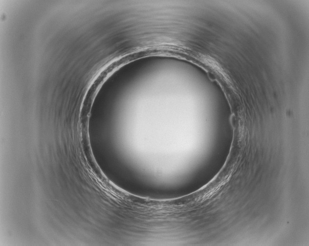 X0000059060924200510101045