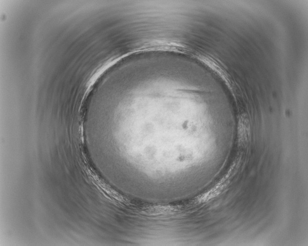 X0000059060925200510101045