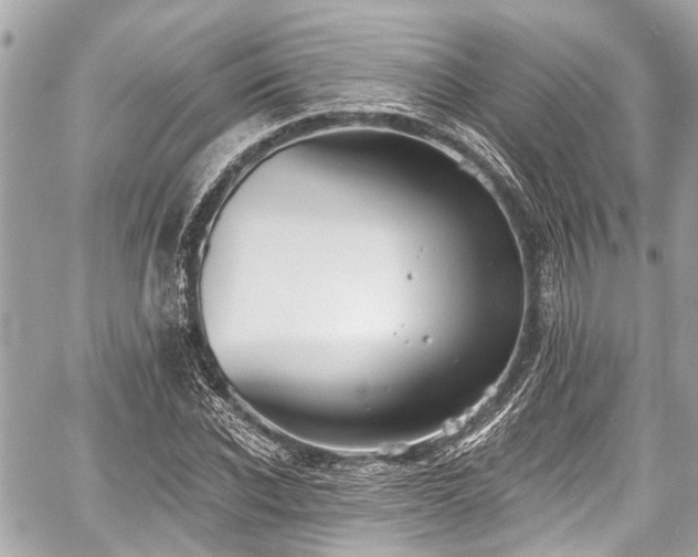 X0000059060926200510101045