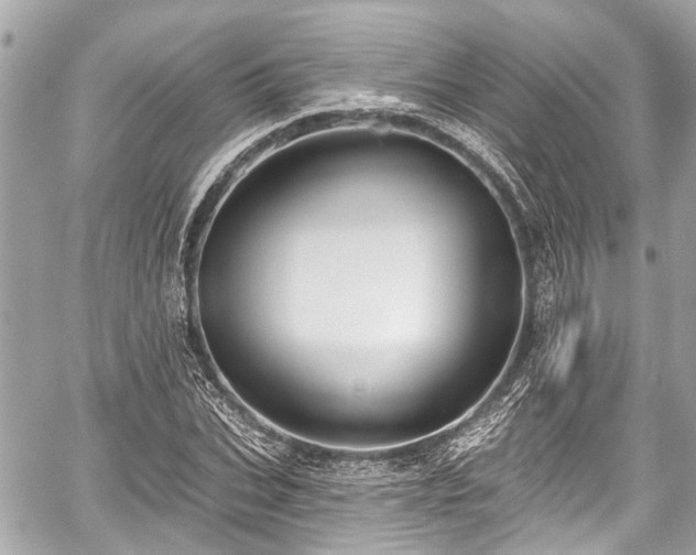 X0000059060927200510101045