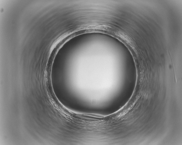 X0000059060928200510101045