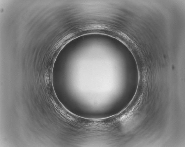 X0000059060929200510101045