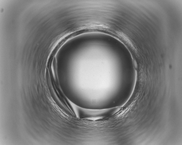 X0000059060932200510101045