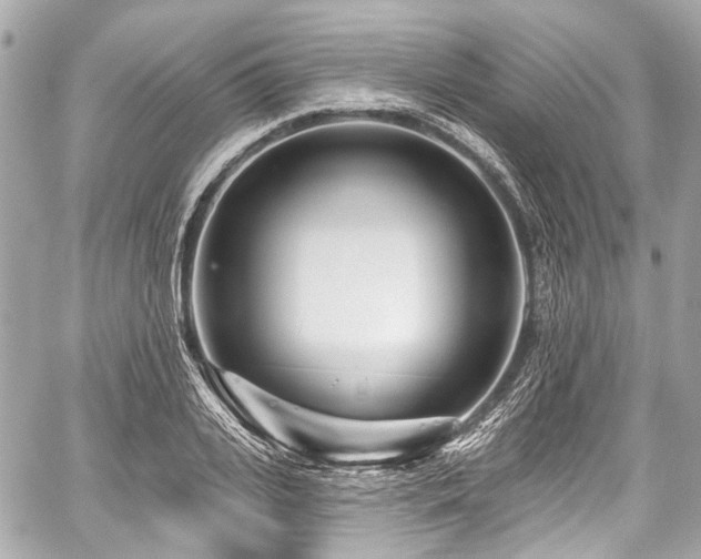 X0000059060935200510101045