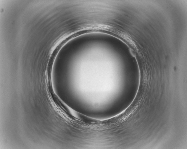 X0000059060936200510101045