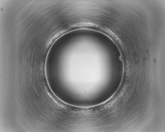 X0000059060937200510101045