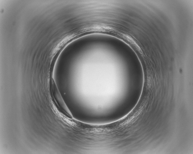 X0000059060938200510101045