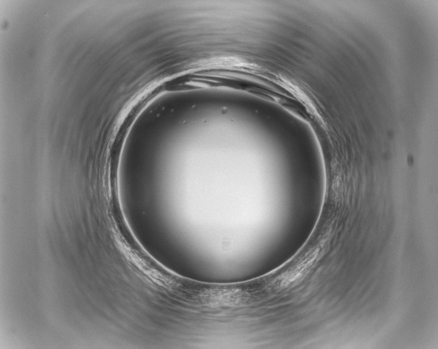 X0000059060939200510101045