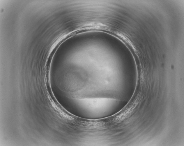 X0000059060941200510101045