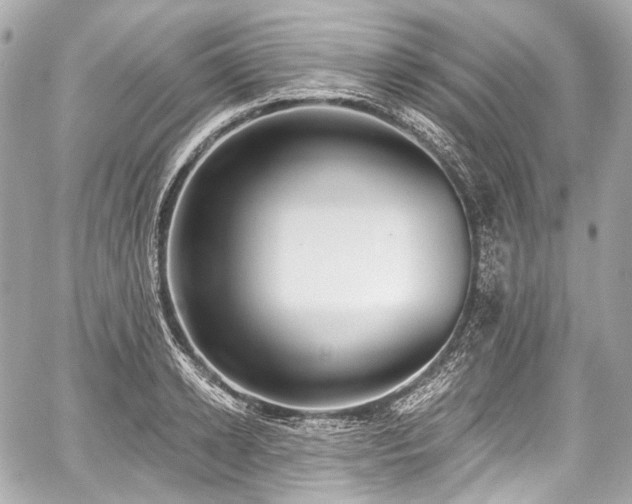 X0000059060942200510101045