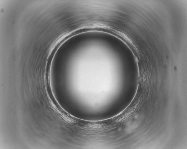 X0000059060943200510101045