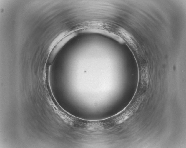 X0000059060944200510101045