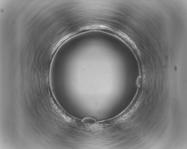 X0000059060945200510101045