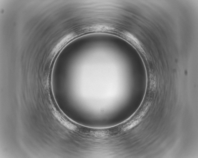 X0000059060946200510101045