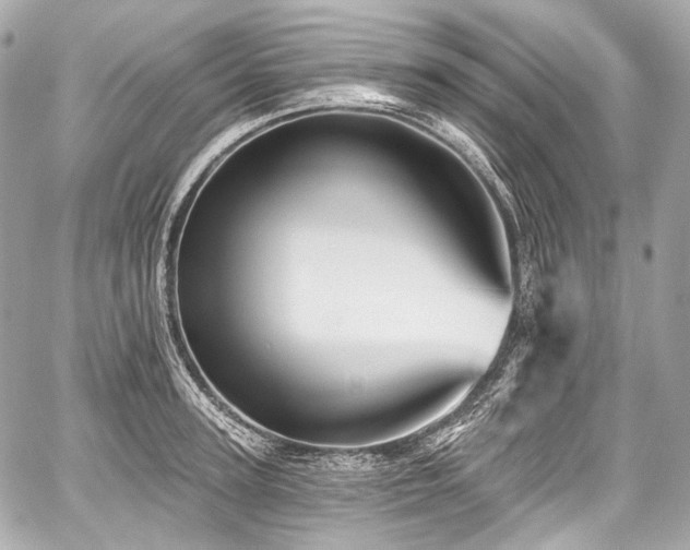 X0000059060947200510101045