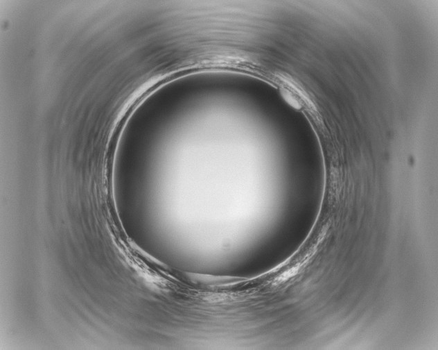 X0000059060948200510101045