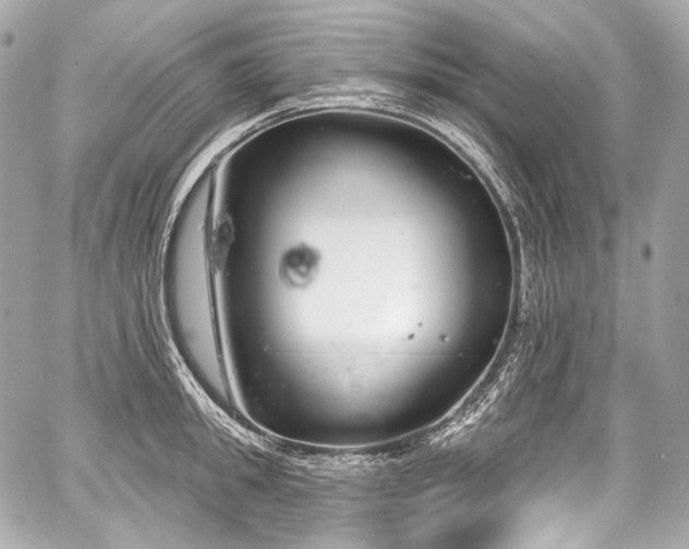 X0000059060949200510101045