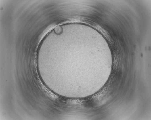 X0000059060950200510101045