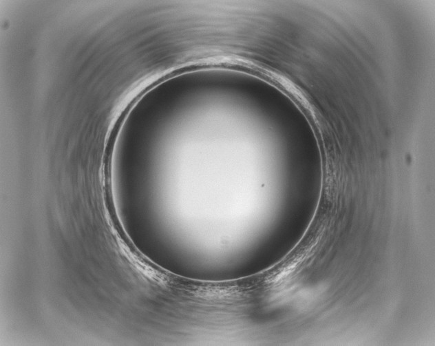 X0000059060951200510101045