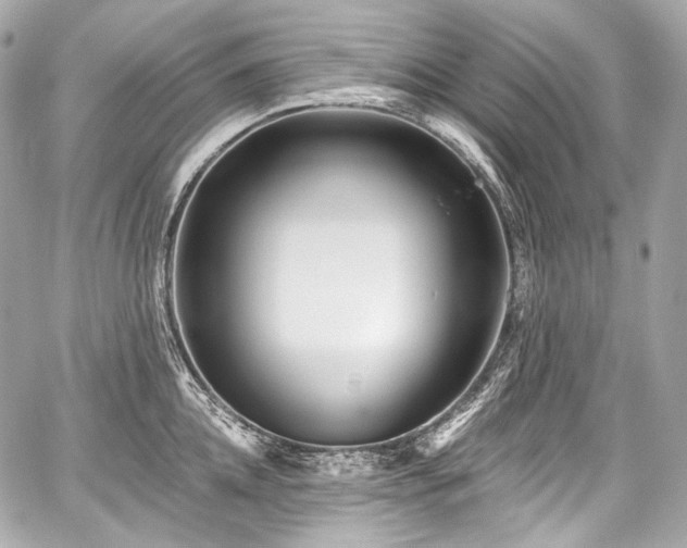 X0000059060952200510101045