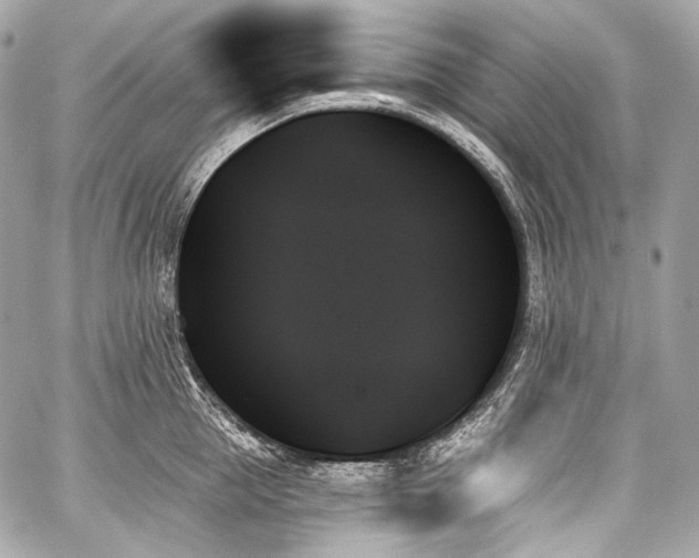 X0000059060953200510101045