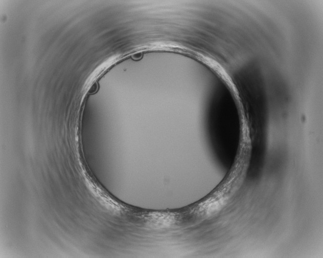 X0000059060954200510101045