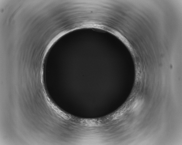 X0000059060955200510101045